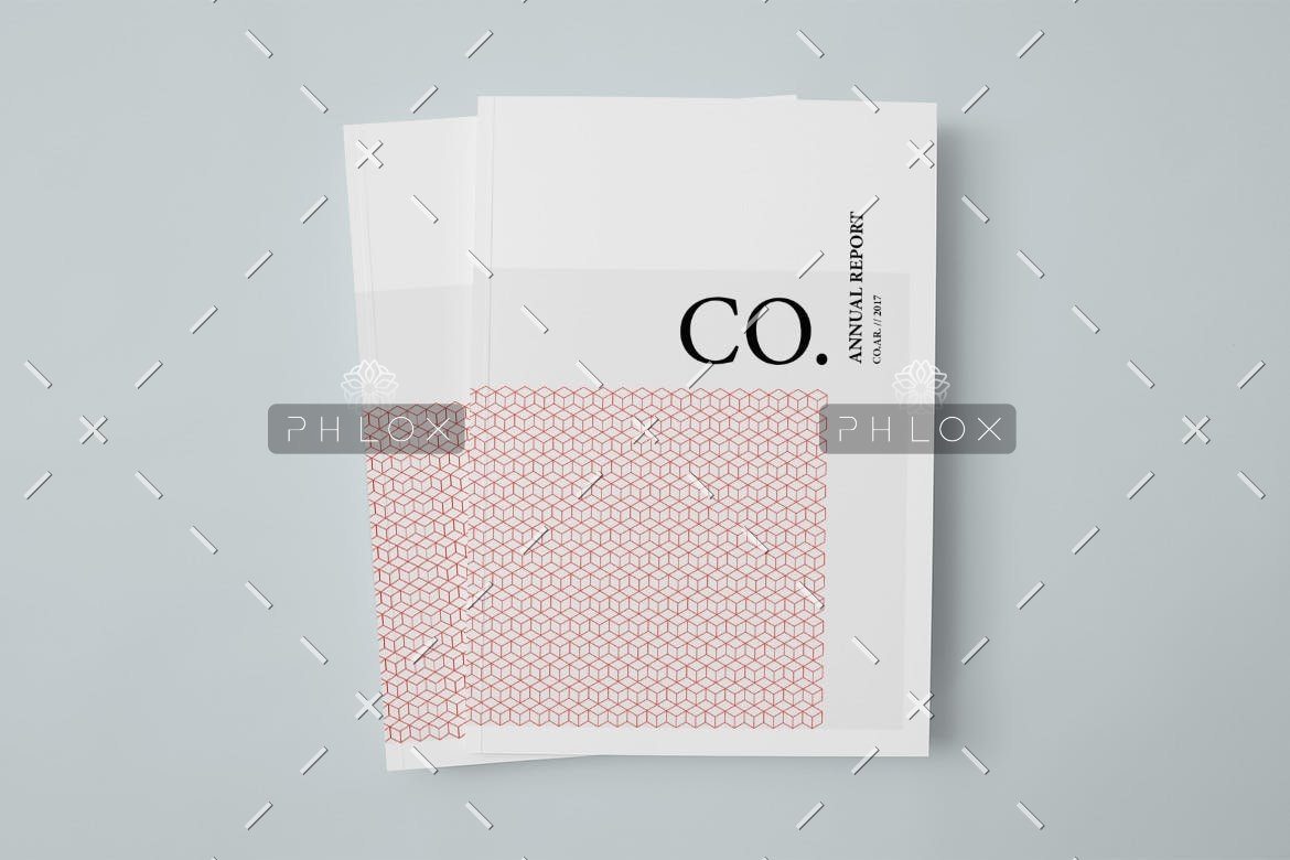 demo-attachment-216-CO.-Annual-Report-1